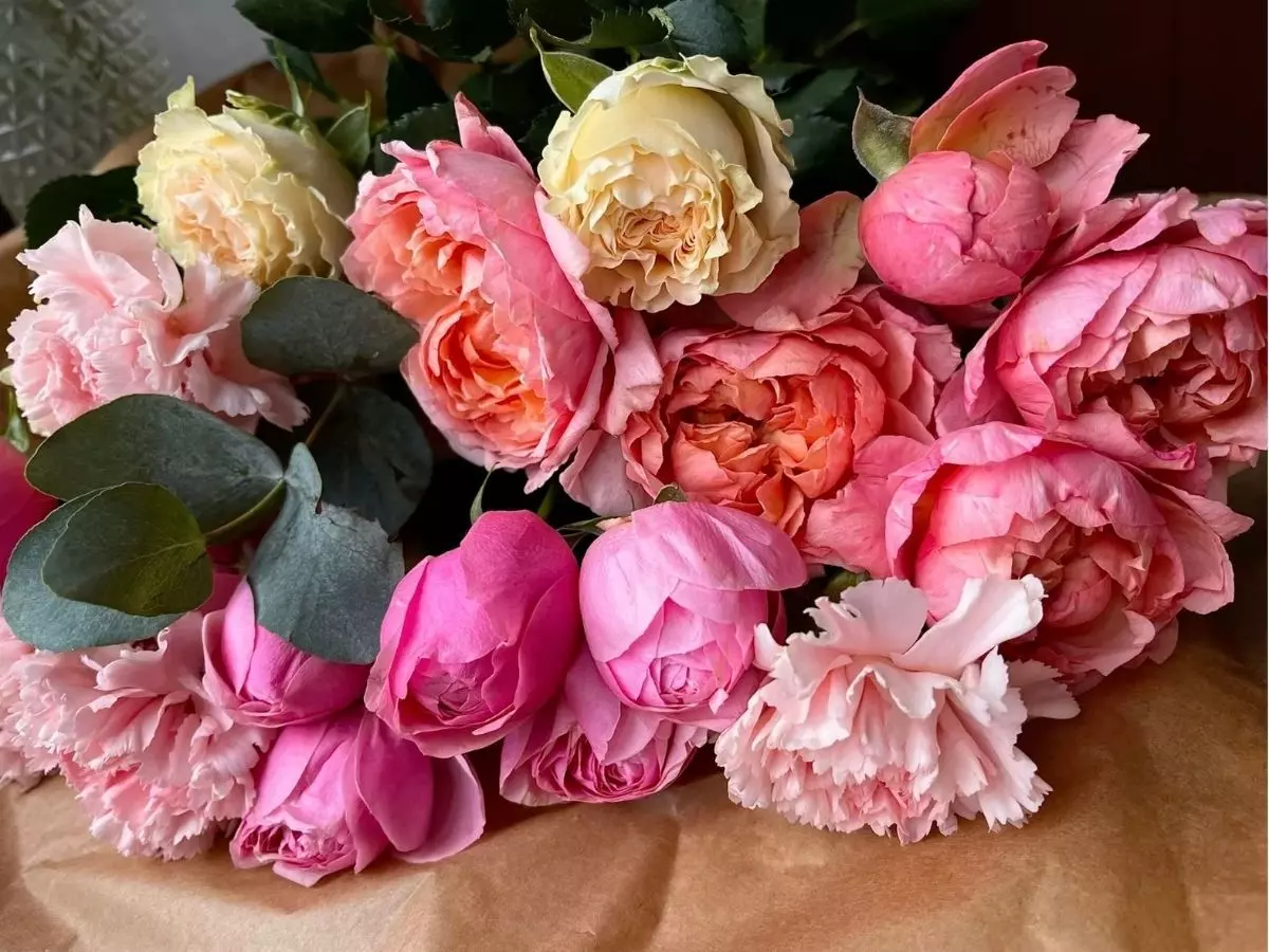 Detalhe de flores rosadas com pétalas abertas e folhagens verdes