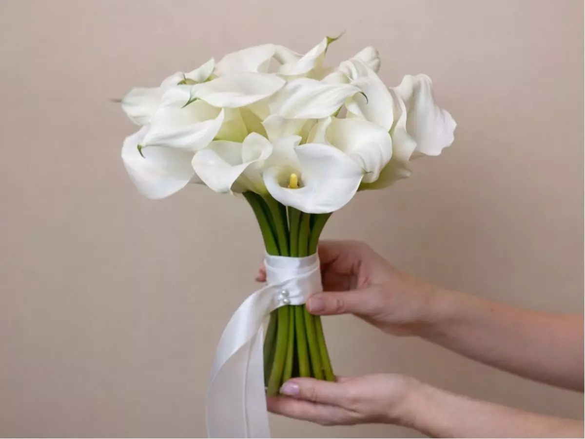 Buquê para casamento civil de copos-de-leite brancos com laço delicado em fundo neutro